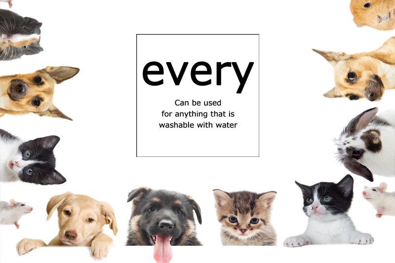 画像5: 業務用 every[エヴリィ] 20Lバックインボックス (5)