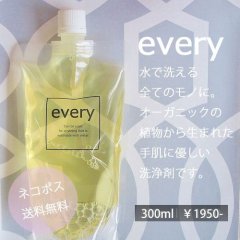 every[エヴリィ]300ｍｌ送料無料・同梱不可※1本送料無料