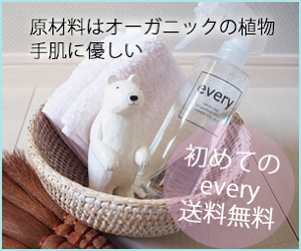 画像1: everyfirstset [エヴリィはじめてセット]※他商品も同梱可で送料込み (1)