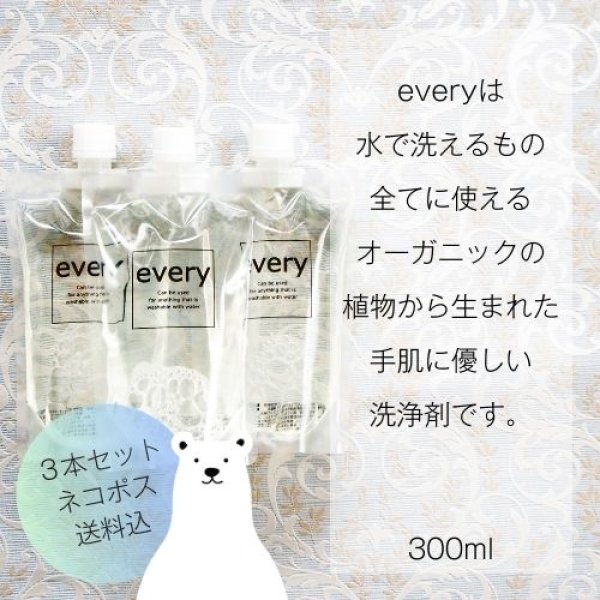 画像1: every [エヴリィ]水で洗えるもの全てに使える洗浄剤300ml×3本セット 他の商品同梱不可 (1)