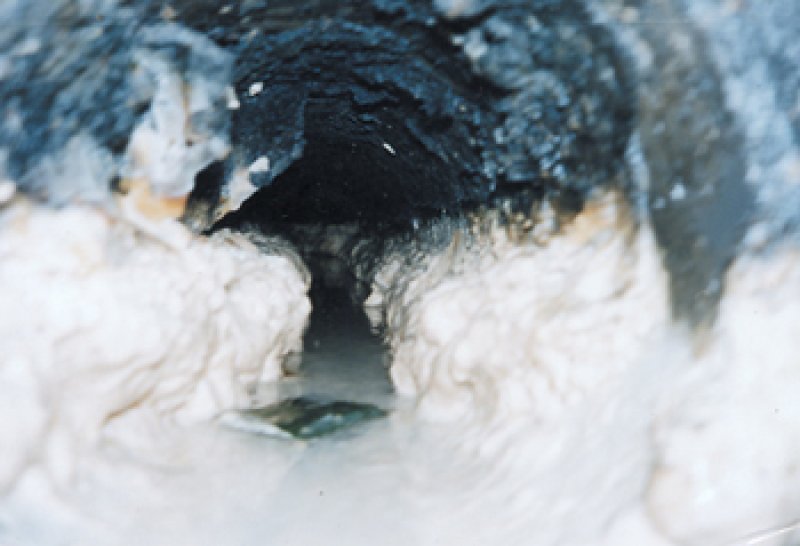 画像2: 京都市内のお客様限定 業務用食洗機専用BIO洗浄剤2000ml【希釈するので10リットル分使えます】