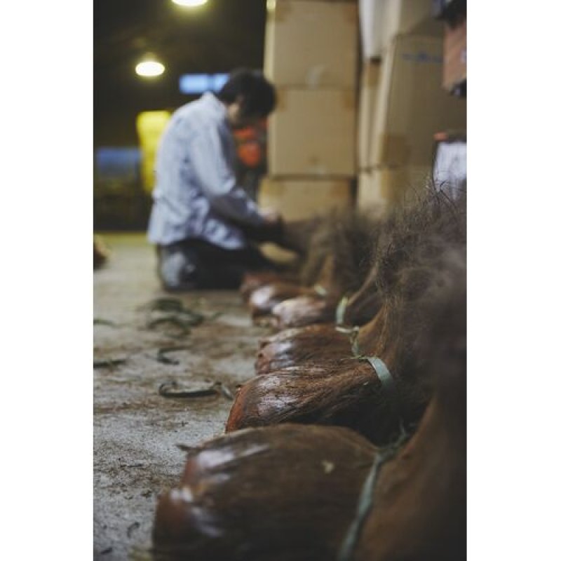 画像7: 棕櫚たわし｜ささら 高田耕造商店 (7)