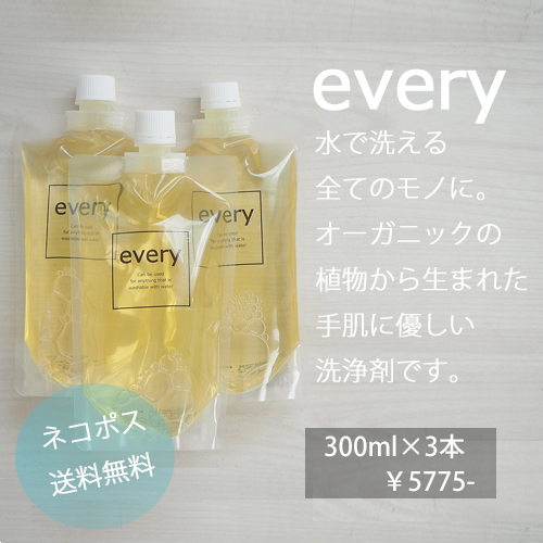 every [エヴリィ]水で洗えるもの全てに使える洗浄剤300ml×3本セット 他の商品同梱不可